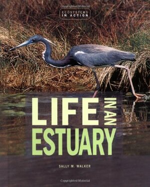 Life In An Estuary by Sally M. Walker