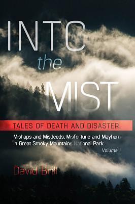 Into the Mist: Tales of Death and Disaster by David Brill, David Brill