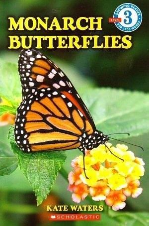 Monarch Butterflies by Kate Waters