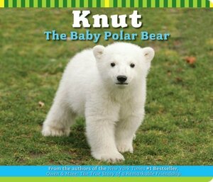 Knut The Baby Polar Bear by Craig Hatkoff