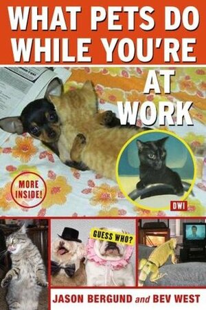 What Pets Do While You're at Work by Beverly West, Jason Bergund