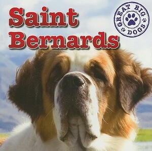 Saint Bernards by Maria Nelson