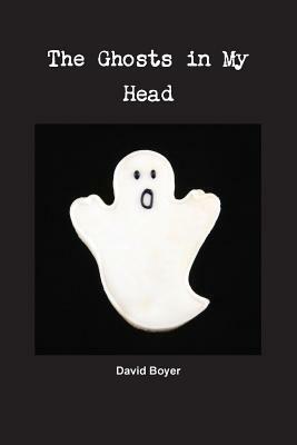 The Ghosts in My Head by David Boyer