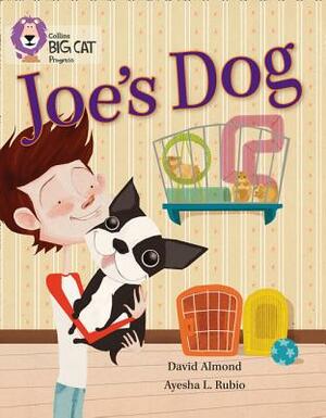 Joe's Dog by David Almond