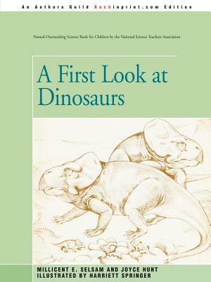 A First Look at Dinosaurs by Joyce Hunt