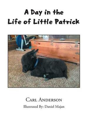 A Day in the Life of Little Patrick by Carl Anderson