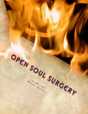Volume Two, Open Soul Surgery, deluxe large print color edition: Seven Flames: Letters to Manasseh by Benaiah Zechariah Levell, Naomi Levell