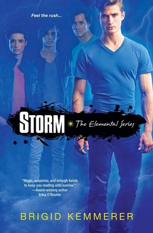 Storm by Brigid Kemmerer