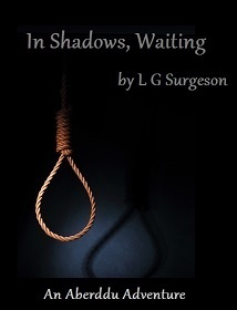 In Shadows, Waiting (The Aberddu Adventures, #3) by Irene Grace, L.G. Surgeson