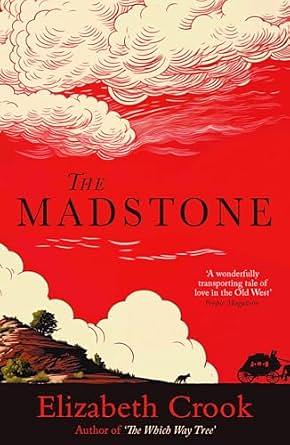 The Madstone by Elizabeth Crook