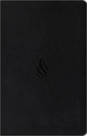 ESV Thinline Bible by Anonymous