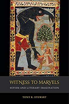 Witness to Marvels: Sufism and Literary Imagination by Tony K. Stewart