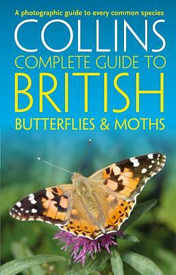 Butterflies & Moths by Paul Sterry