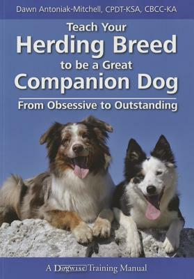 Teach Your Herding Breed to Be a Great Companion Dog, from Obsessive to Outstanding by Dawn Antoniak-Mitchell