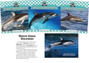 Checkerboard Animal Library: Dolphins, Set 1 by Megan M. Gunderson