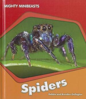 Spiders by Brendan Gallagher, Debbie Gallagher