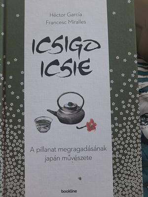 The Book of Ichigo Ichie: The Art of Making the Most of Every Moment, the Japanese Way by Héctor García