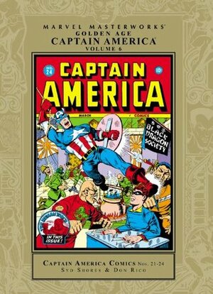 Marvel Masterworks: Golden Age Captain America, Vol. 6 by Stan Lee