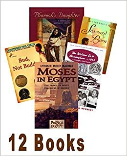 African American Collection (Grade 6 and Up): Story of Jackie Robinson; the Pharoh's Daughter; Moses in Egypt; Phillip Hall Likes Me; Tituba; Rebel Slaves; Bud, Not Buddy; Watsons Go to Birmingham by Julius Lester, Christopher Paul Curtis, Lynne Reid Banks, Barry Denenberg
