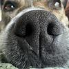 b_free's profile picture