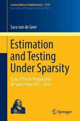 Estimation and Testing Under Sparsity: École d'Été de Probabilités de Saint-Flour XLV - 2015 by Sara Van de Geer