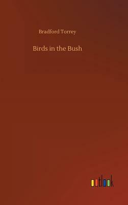 Birds in the Bush by Bradford Torrey