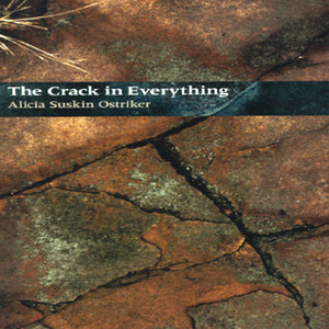 The Crack In Everything by Alicia Suskin Ostriker