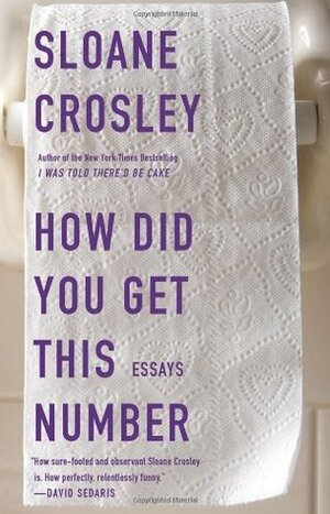 How Did You Get This Number: Essays by Sloane Crosley