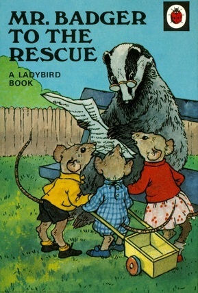 Mr. Badger To The Rescue (Rhyming Stories) by Ladybird Books, A.J. MacGregor