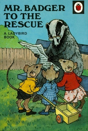 Mr. Badger To The Rescue (Rhyming Stories) by A.J. MacGregor, Ladybird Books