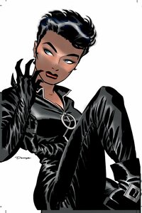 Catwoman, Volume 1: Trail of the Catwoman by Ed Brubaker