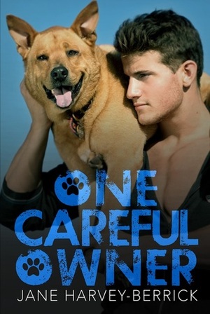 One Careful Owner by Jane Harvey-Berrick