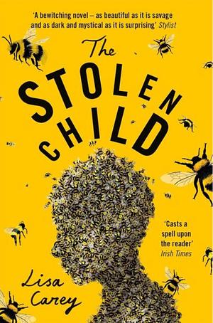 Stolen Child by Carey Lisa