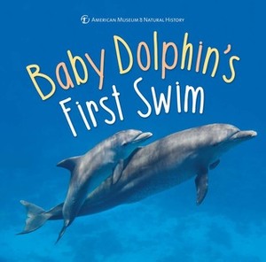 Baby Dolphin's First Swim by American Museum of Natural History