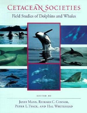 Cetacean Societies: Field Studies of Dolphins and Whales by Richard C. Connor, Peter L. Tyack, Janet Mann