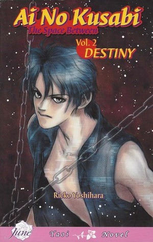 Ai no Kusabi Vol. 2: Destiny by Rieko Yoshihara