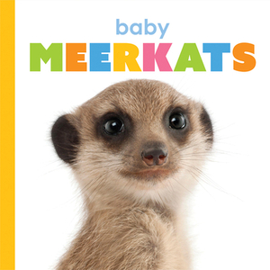 Baby Meerkats by Kate Riggs