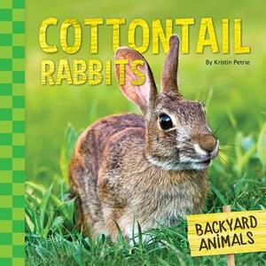 Cottontail Rabbits by Kristin Petrie