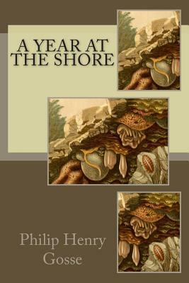 A Year at the Shore by Philip Henry Gosse