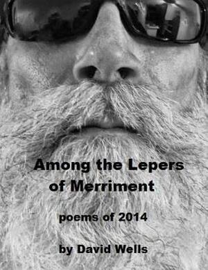 Among the Lepers of Merriment: poems of 2014 by David S. Wells