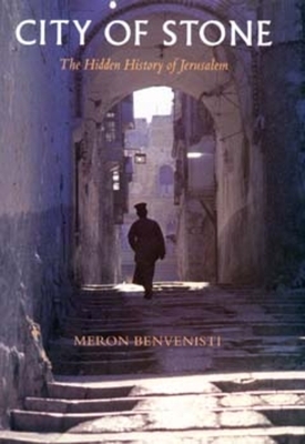 City of Stone: The Hidden History of Jerusalem by Meron Benvenisti