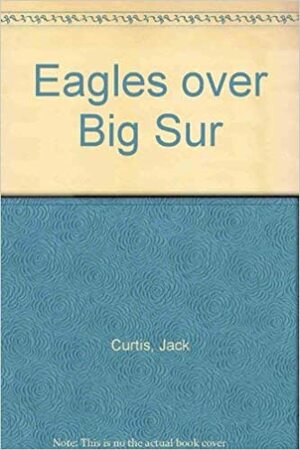 Eagles over Big Sur by Jack Curtis