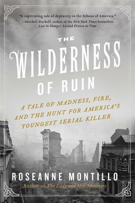 The Wilderness of Ruin: A Tale of Madness, Fire, and the Hunt for America's Youngest Serial Killer by Roseanne Montillo