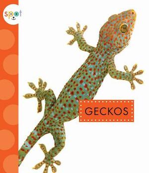 Geckos by Rachel Bach