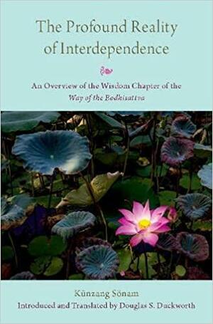 The Profound Reality of Interdependence: An Overview of the Wisdom Chapter of the Way of the Bodhisattva by Douglas S. Duckworth