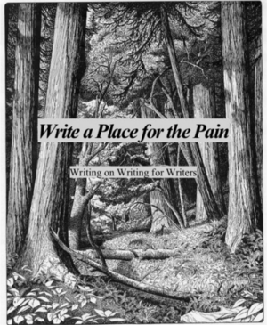 Write a Place for the Pain by Clementine Morrigan