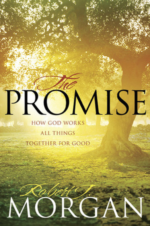 The Promise: How God Works All Things Together for Good by Robert J. Morgan