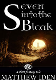 Seven Into the Bleak by Matthew Iden