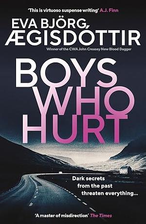 Boys Who Hurt by Eva Björg Ægisdóttir