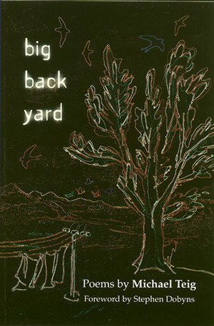 Big Back Yard by Michael Teig, Stephen Dobyns